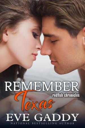 Cover of the book Remember Texas by Lori O'Gara