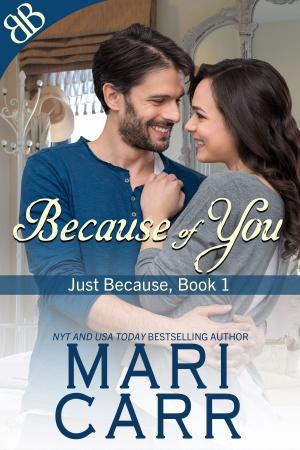 Cover of the book Because of You by Shelli Stevens
