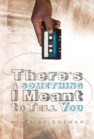 Cover of the book There's A Something I Meant to Tell You by Rachel Esmond