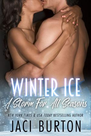 Book cover of Winter Ice