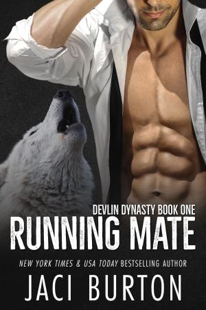Cover of the book Running Mate by L.E. Wilson