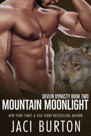Cover of the book Mountain Moonlight by AJ Larrieu