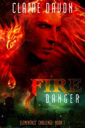 Cover of the book Fire Danger by J.K. Coi
