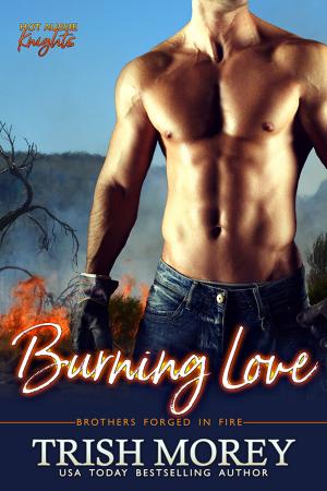 Cover of the book Burning Love by Melissa McClone