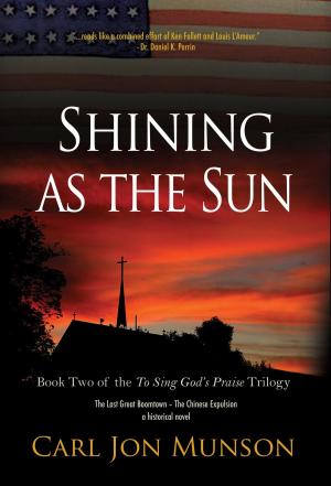 Book cover of Shining as the Sun