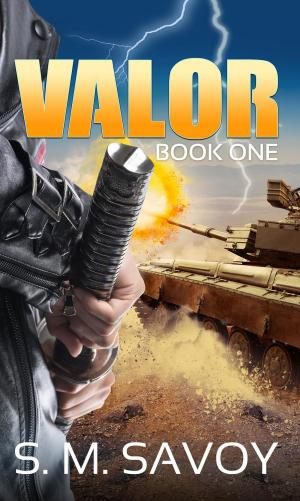 Cover of the book VALOR by Laura Cadau