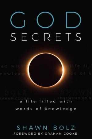 Cover of the book God Secrets by Raji Abuzalaf