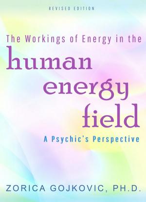 Cover of the book The Workings of Energy in the Human Energy Field by Sergio Magaña (Ocelocoyotl)