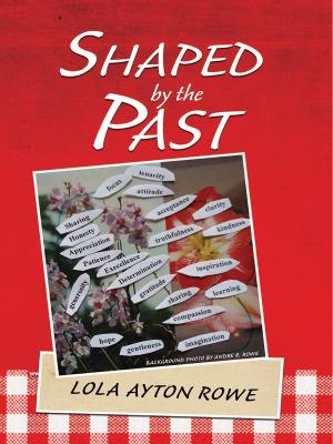 Cover of the book Shaped by the Past by Shenandoah Chefalo