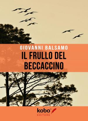 Cover of the book Il Frullo del Beccaccino by Kate Rigby