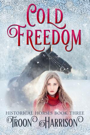 Cover of the book Cold Freedom by Shelley Adina, Übersetzung Jutta Entzian-Mandel