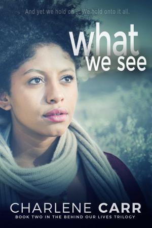 bigCover of the book What We See by 