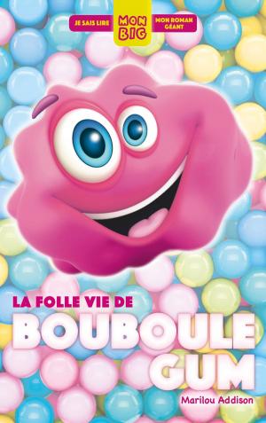Cover of the book La folle vie de Bouboule Gum by Meg Cabot