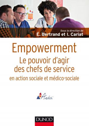 Cover of the book Empowerment by Laurence Lehmann-Ortega, Hélène Musikas, Jean- Marc Schoettl