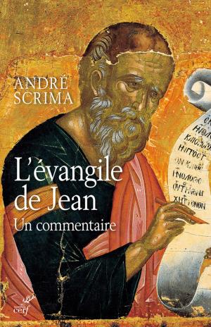 Cover of the book L'évangile de saint Jean by Therese d'avila