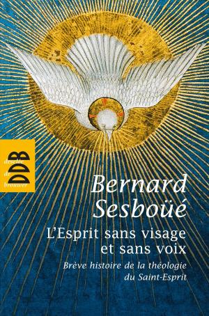 Cover of the book L'Esprit sans visage et sans voix by Roger Bourgeon, Dom Helder Camara
