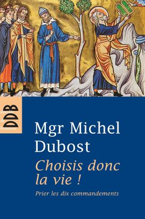 Cover of the book Choisis donc la vie ! by Jean-Noël Bezançon, Pierre Chalvidan, Frédéric Mounier