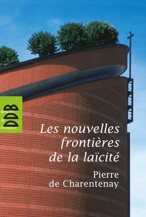 bigCover of the book Les nouvelles frontières de la laïcité by 