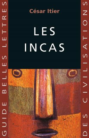 Cover of the book Les Incas by Michel Angot