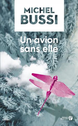 Cover of the book Un avion sans elle by Christos TSIOLKAS