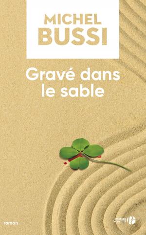 Book cover of Gravé dans le sable