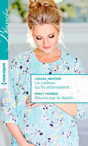 Cover of the book Le cadeau qu'ils attendaient - Réunis par le destin by Lindsay McKenna