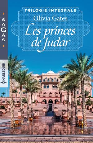 Book cover of Les princes de Judar