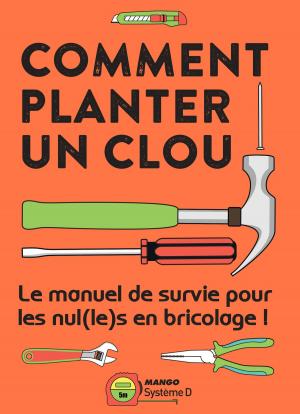 Cover of the book Comment planter un clou by Valéry Drouet
