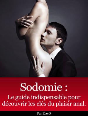 Cover of the book Sodomie by Barbara Simonsohn