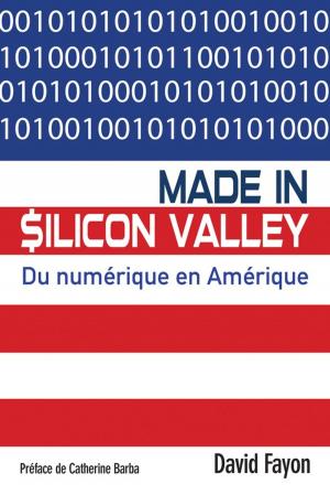 Cover of the book Made in Silicon Valley by Marilyn McLeod