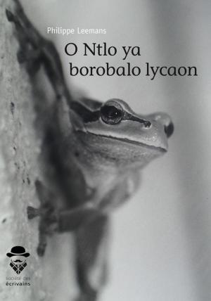Cover of the book O Ntlo ya borobalo lycaon by Dominique E. Andersen