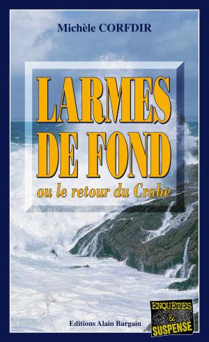 Cover of the book Larmes de fond by Martine Le Pensec