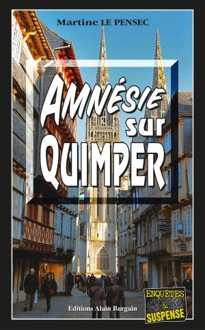 Cover of the book Amnésie sur Quimper by Serge Le Gall