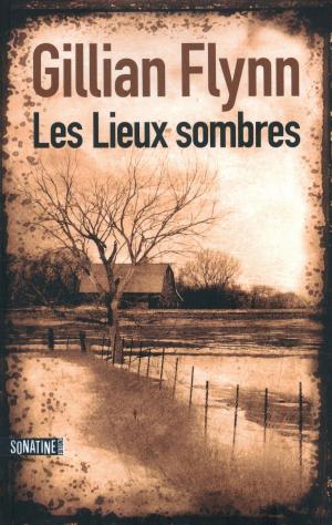 Cover of the book Les Lieux sombres by J.J. CONNOLLY