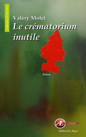 Cover of the book Le crématorium inutile by Arnaud Papin