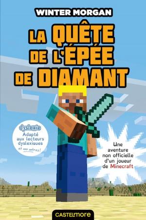 Cover of the book La Quête de l'épée de diamant (version dyslexique) by Suzanne Roy