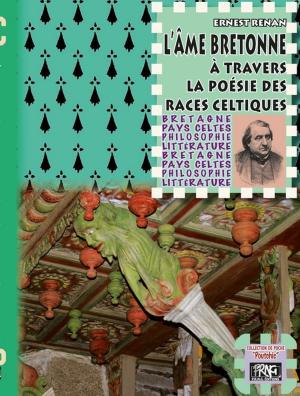 Cover of the book L'Âme bretonne à travers la poésie des races celtiques by Jean André le Gall, Charles le Goffic