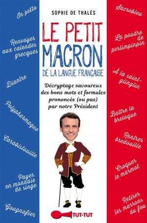 Cover of the book Le Petit Macron de la langue française by Paul Saegaert