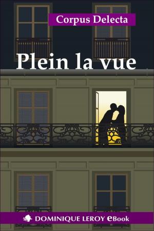 Cover of the book Plein la vue by Bernard Montorgueil