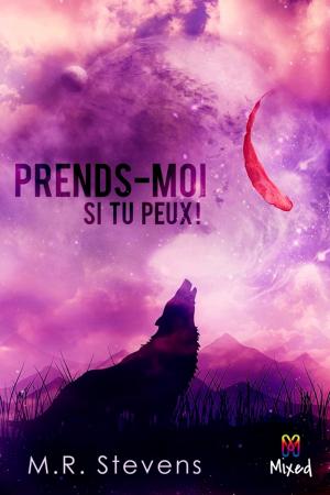 Cover of Prends-moi si tu peux !