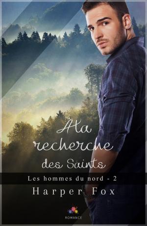 Book cover of À la recherche des Saints