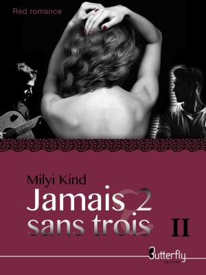 Cover of the book Jamais 2 sans TROIS II by Mel D.