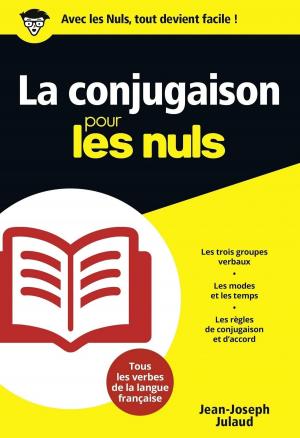 Cover of the book La Conjugaison pour les Nuls poche by Jean-Claude LESCURE