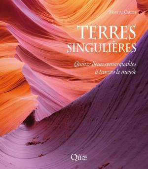 Book cover of Terres singulières