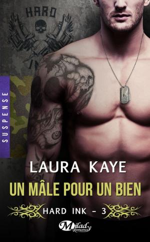 Book cover of Un mâle pour un bien