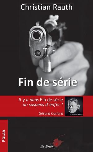 Cover of the book Fin de série by Florence Roche