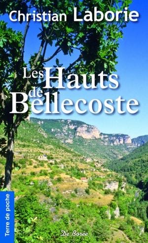 Cover of the book Les Hauts de Bellecoste by Sylvie Baron