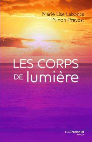 Cover of the book Les corps de Lumière by Nathalie Bodin