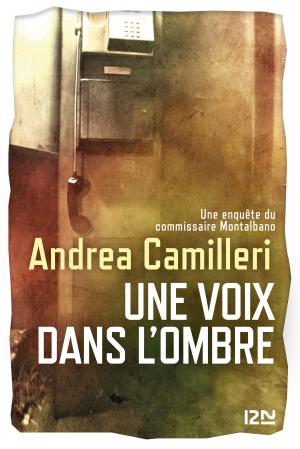 Cover of the book Une voix dans l'ombre by Viviane MOORE