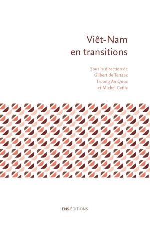 Cover of the book Viêt-Nam en transitions by Alain Messaoudi
